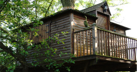 Designer tree house